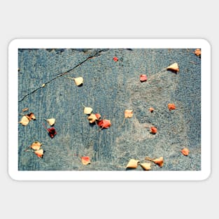 Tree leaves on a concrete floor Sticker